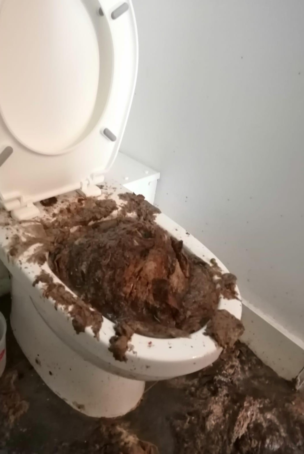 Blocked Toilet Causes And Preventative Measures Kent Drainage