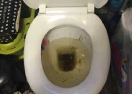 Toilet Not Flushing