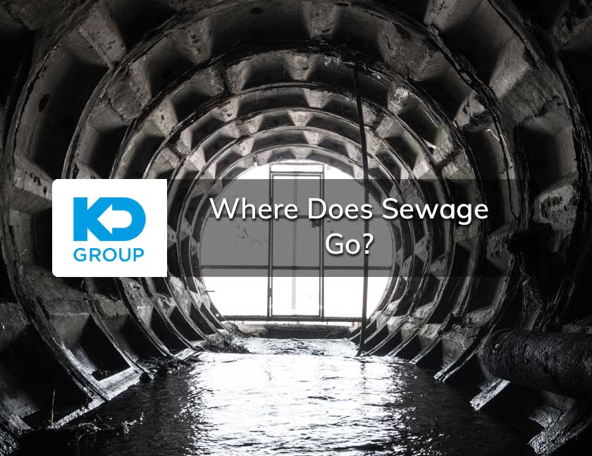 Where Does Sewage Go