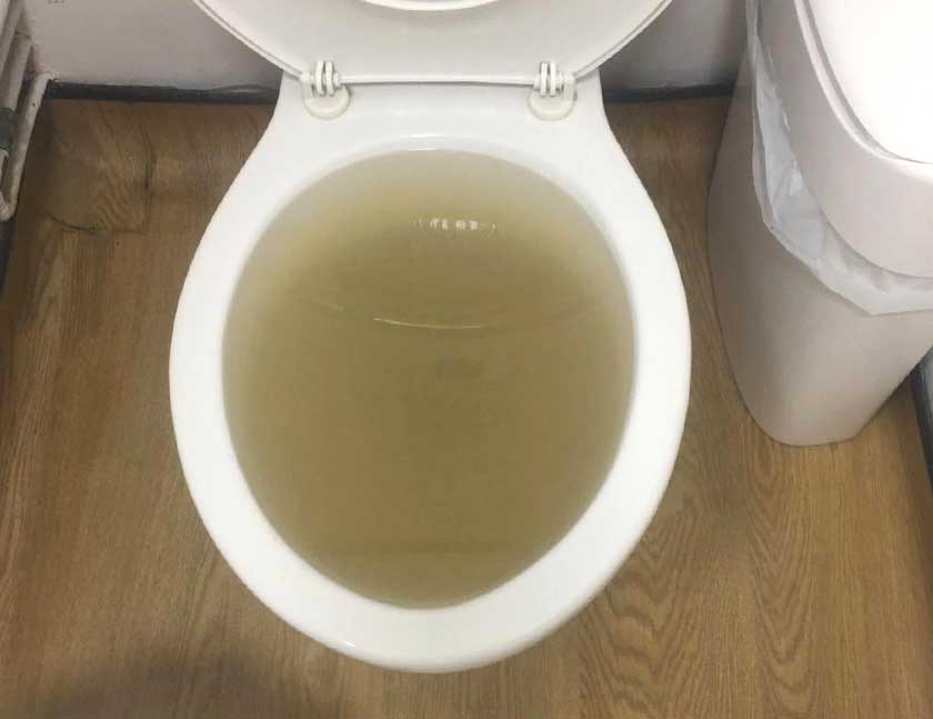 Toilet Blocked with Water