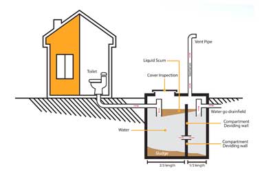 Septic Tank System Illustration