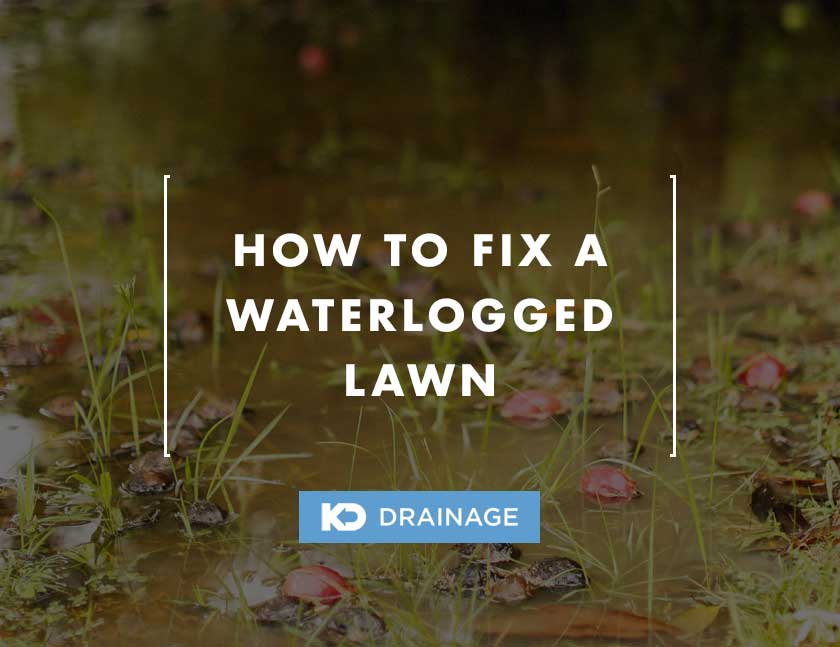 Waterlogged Lawn