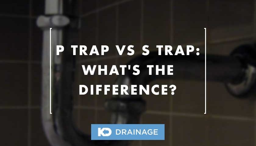 p trap vs s trap